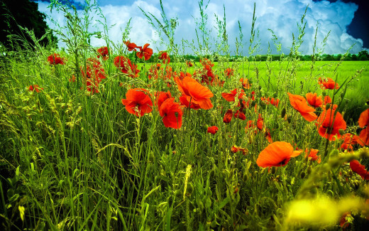 934906 (a): :1920x1200